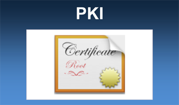 PKI